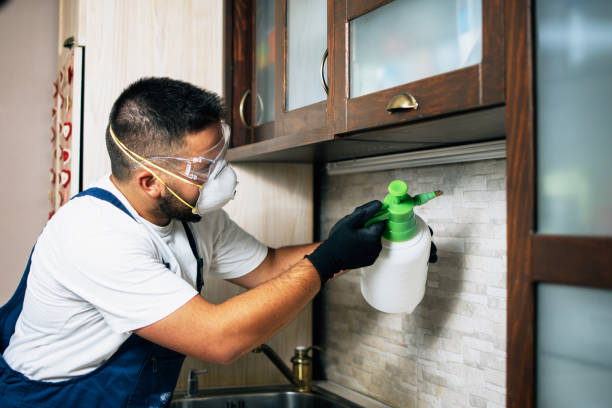 Pest Control Cost in Church Hill, MD