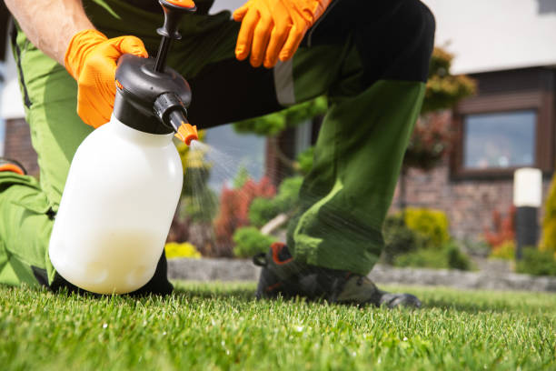 Best Pest Inspection Near Me  in Church Hill, MD