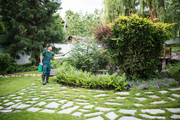Best Insect Control  in Church Hill, MD