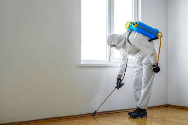 Best Pest Control Cost  in Church Hill, MD