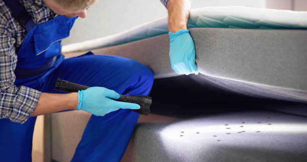 Best Mosquito Control Services  in Church Hill, MD