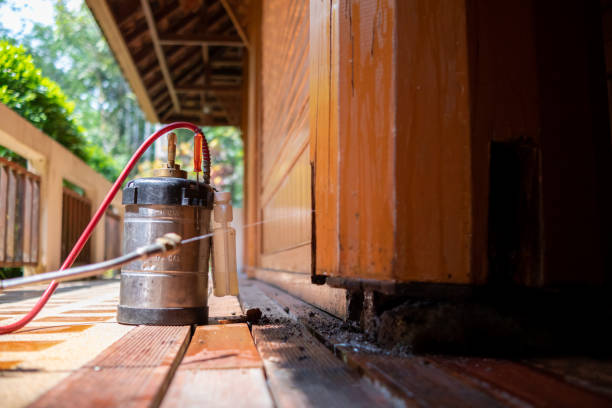 Best Wasp Removal Services  in Church Hill, MD