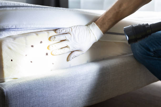 Best Pest Control for Restaurants  in Church Hill, MD