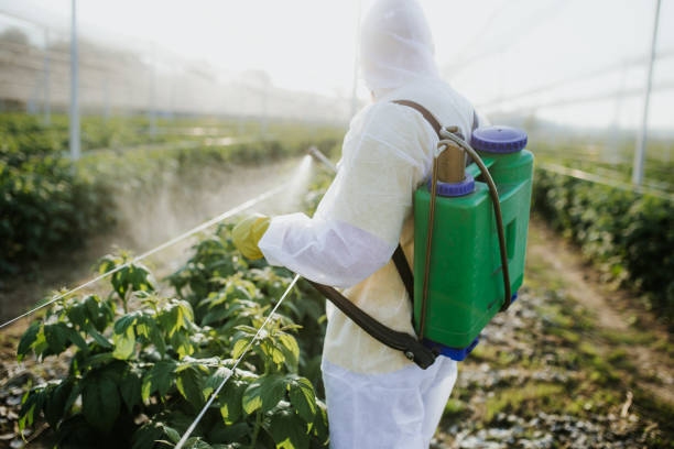 Best Bed Bug Extermination  in Church Hill, MD